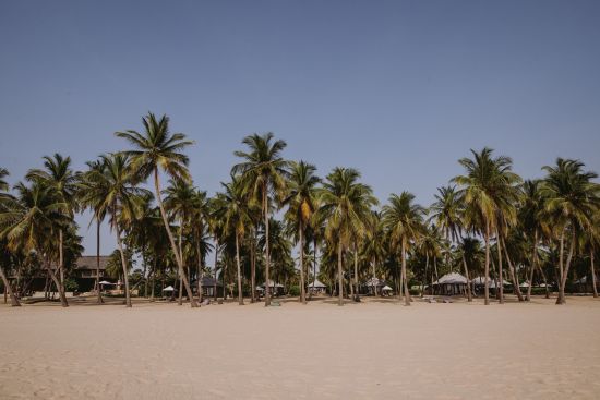Karpaha Sands in Passekudah:  Beach and Palms
