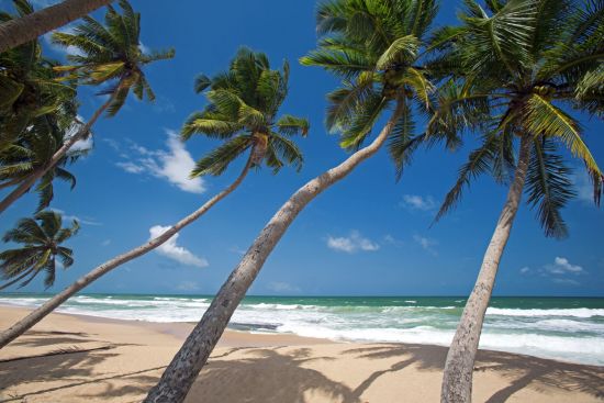 Haritha Villas & Spa à Hikkaduwa:  Beach