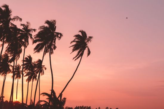 Jetwing Surf & Safari in Arugam Bay:  Sunset