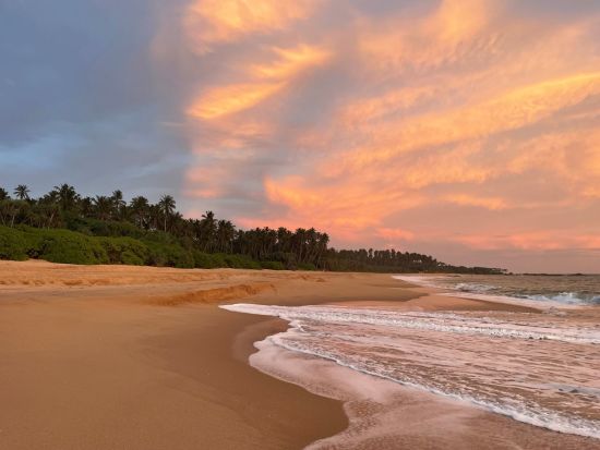 Buckingham Place in Tangalle:  Beach
