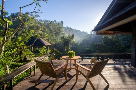 Buahan, a Banyan Tree Escape in Ubud:  Rainforest Pool Bale