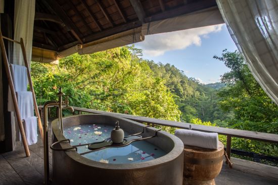 Buahan, a Banyan Tree Escape in Ubud:  River Valley Pool Bale | Bathtub with view