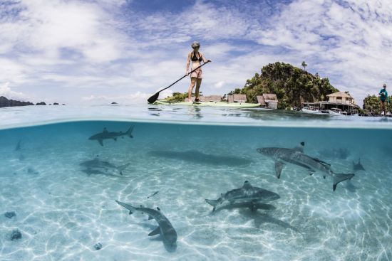 Misool Eco Resort in Sorong:  SUB