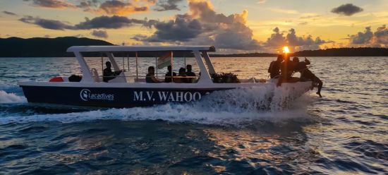 Tilar Siro Andamans à Îles Andaman:  Diving