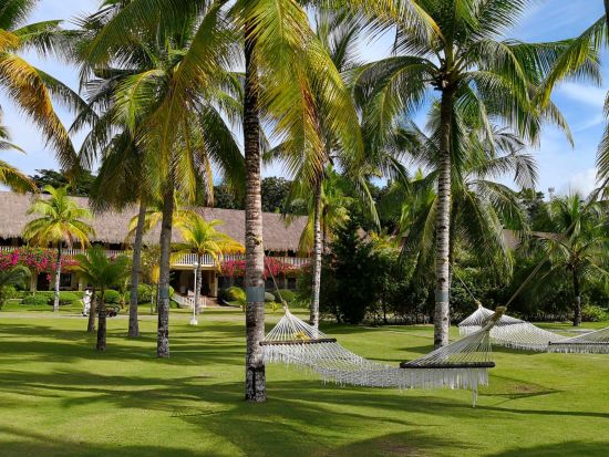 Bohol Beach Club:  Garden