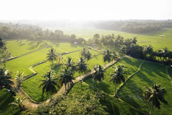 Kairali - The Ayurvedic Healing Village à Coimbatore:  Aerial View