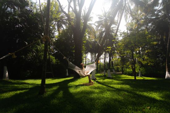 Kairali - The Ayurvedic Healing Village à Coimbatore:  Garden