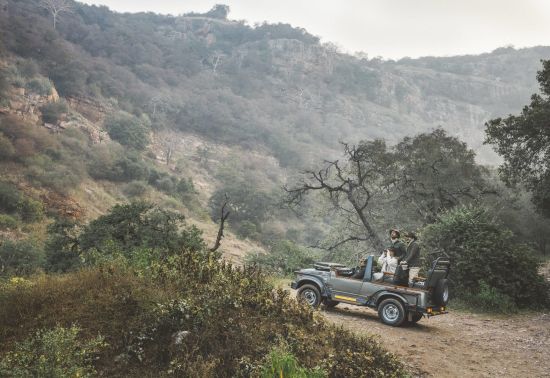 Six Senses Fort Barwara à Jaipur:  Ranthambore National Park Jeep Safari