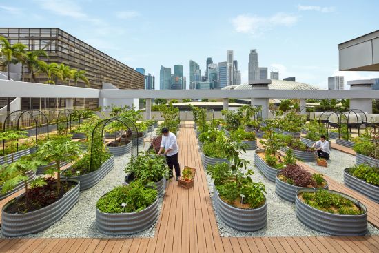 Parkroyal Collection Marina Bay in Singapur:  Urban Farm