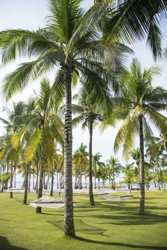 Bohol Beach Club:  Courtyard Hammock