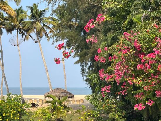 Carnoustie Ayurveda & Wellness Resort in Mararikulam:  Beach