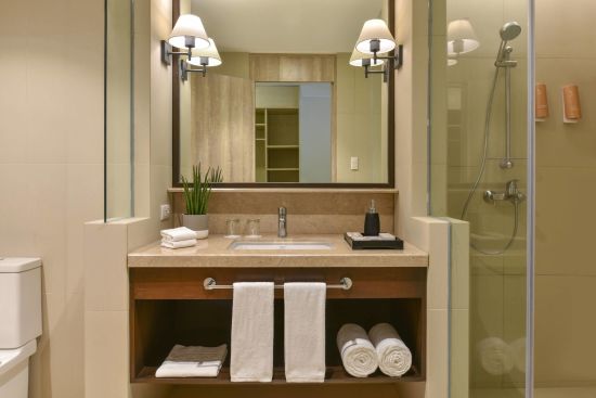 Seda Lio in Palawan:  Deluxe Forest | Bathroom