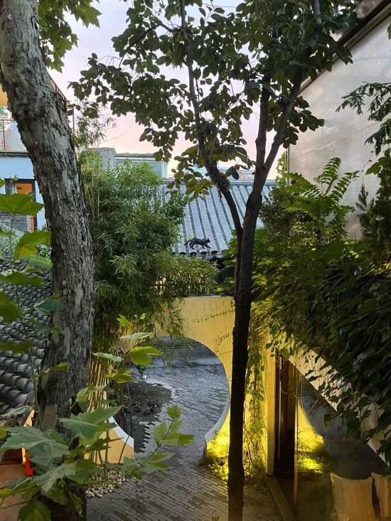 The Orchid à Pékin:  Garden