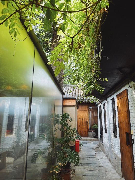 The Orchid à Pékin:  Residence #66