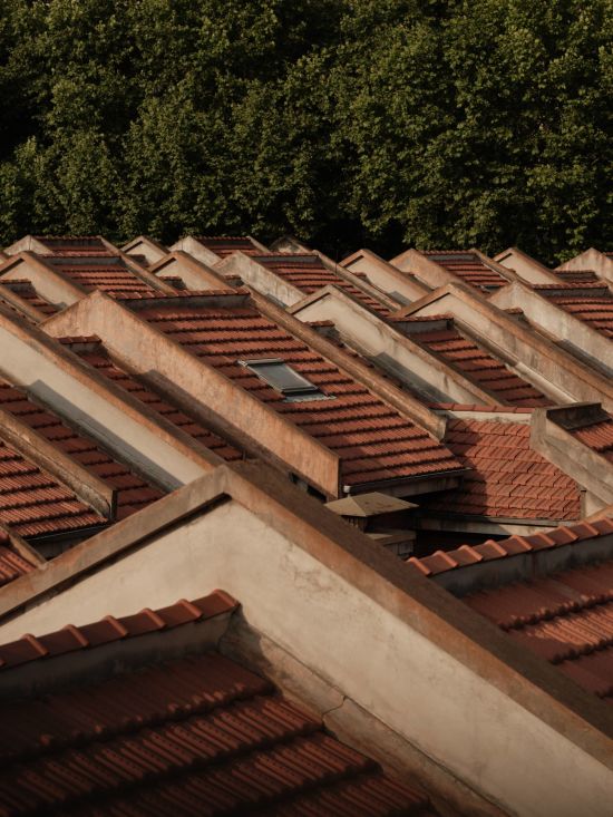 Capella Shanghai:  Details & Architecture