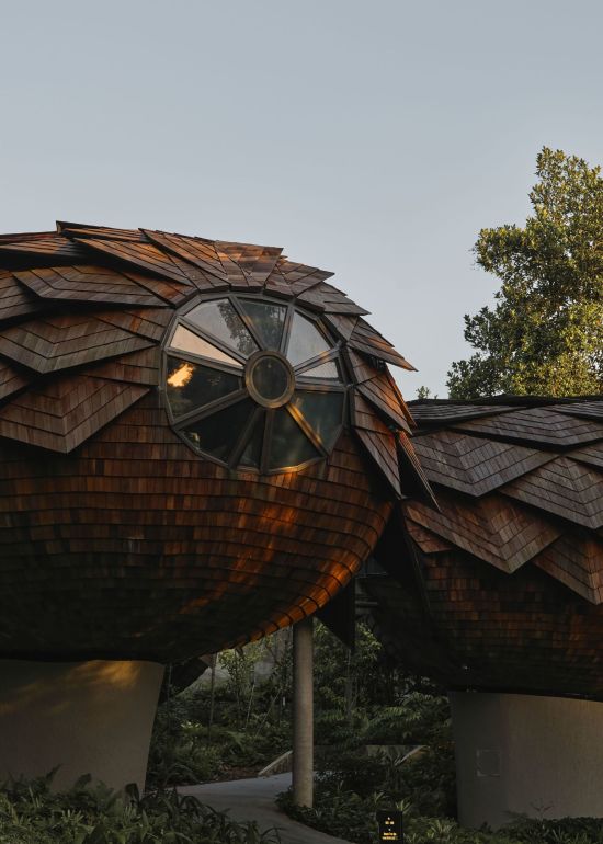 Mandai Rainforest Resort by Banyan Tree in Singapur:  Banyan Tree Spa_Wellness Pods