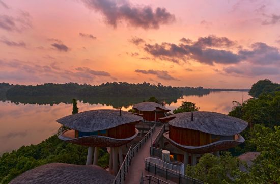 Mandai Rainforest Resort by Banyan Tree in Singapur:  Mandai Rainforest Resort by Banyan Tree