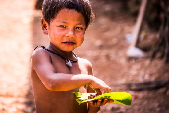 Überland von Laos nach Vietnam ab Luang Prabang: Laos Trekking Thai Buan tribe