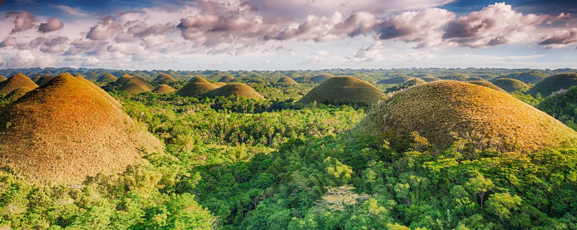 Tour de Bohol: Bohol Chocolate Hills