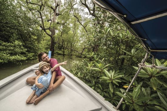 Four Seasons Resort in Langkawi:  Mangroves & Monkeys Safari