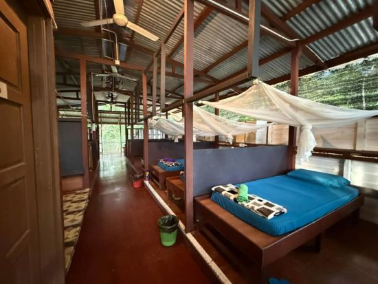 TaWOW - Naturschätze Sabahs ab Tawau: room: INIKEA Lodge