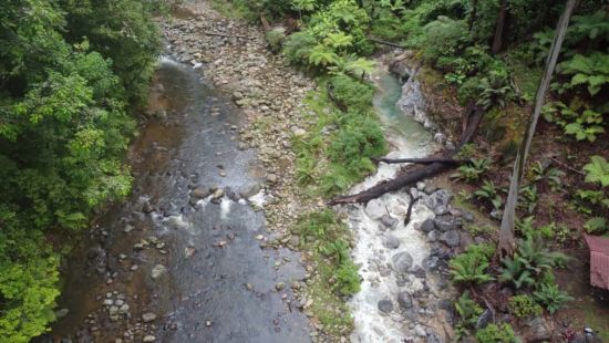 TaWOW - Naturschätze Sabahs ab Tawau: Tawau Hills Park 