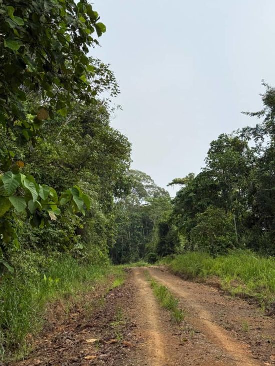 TaWOW - Naturschätze Sabahs ab Tawau: INIKEA Conservation Area