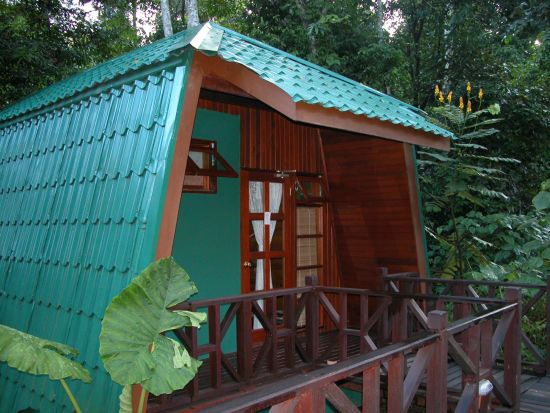 Borneo Wildlife / Borneo Rainforest Lodge ab Kota Kinabalu: Tabin River Lodge