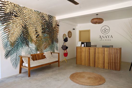 Anaya Koh Rong: Reception