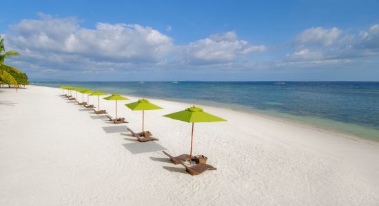 Oceanica Resort Panglao à Bohol:  Beach Front