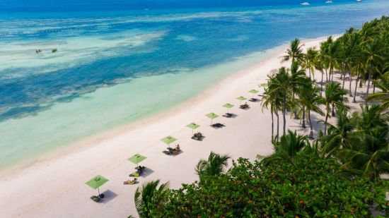 Oceanica Resort Panglao à Bohol:  beach area