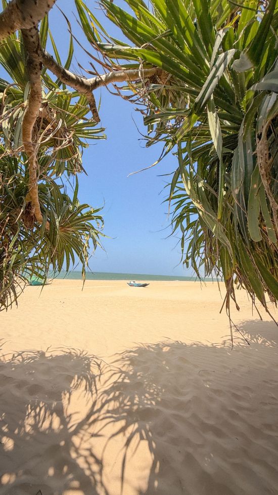 Elements Beach & Nature Resort in Kalpitiya:  Beach