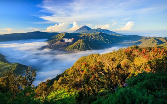 Java-Bali compactes de Yogyakarta: Java Mount Bromo