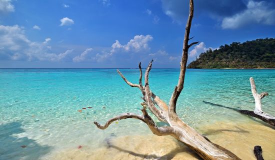 Dusit Thani Krabi Beach Resort: Rok Island