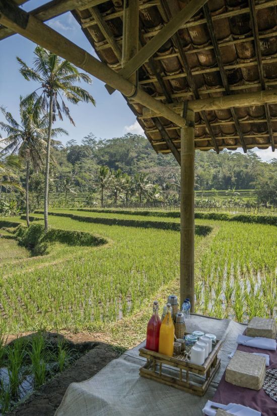 Amanjiwo à Yogyakarta:  Picnic in the Rice Fields