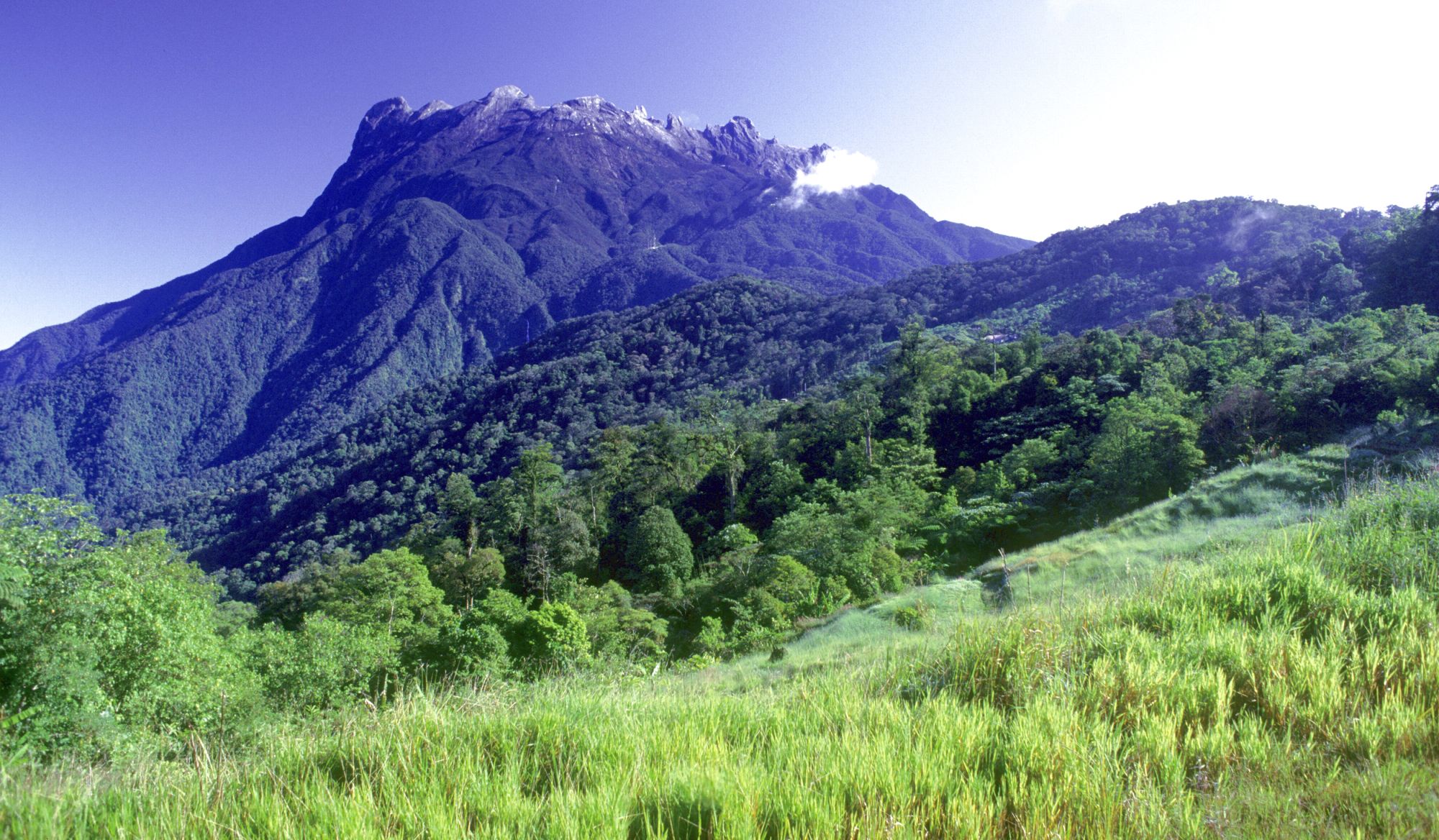 Parc du Mont Kinabalu à Kota Kinabalu: Sabah: Mt. Kinabalu