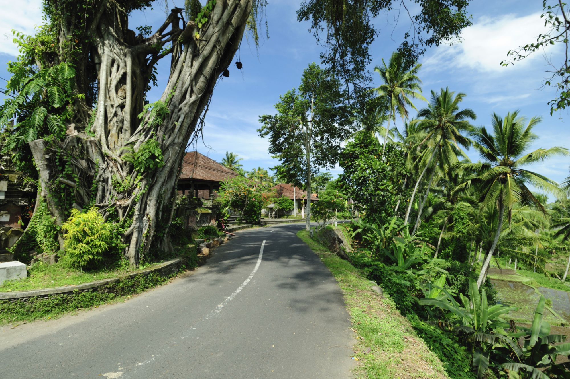Bali de son propre chef - demi-journée à Sud de Bali: Bali Road