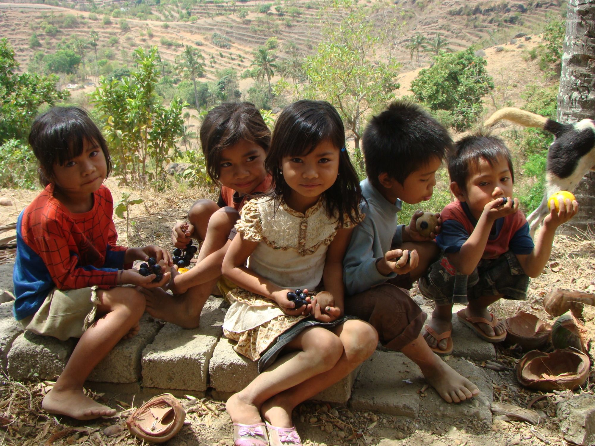 Trekking im Hochland Balis in Ubud: Trekking Karin Vogt 002