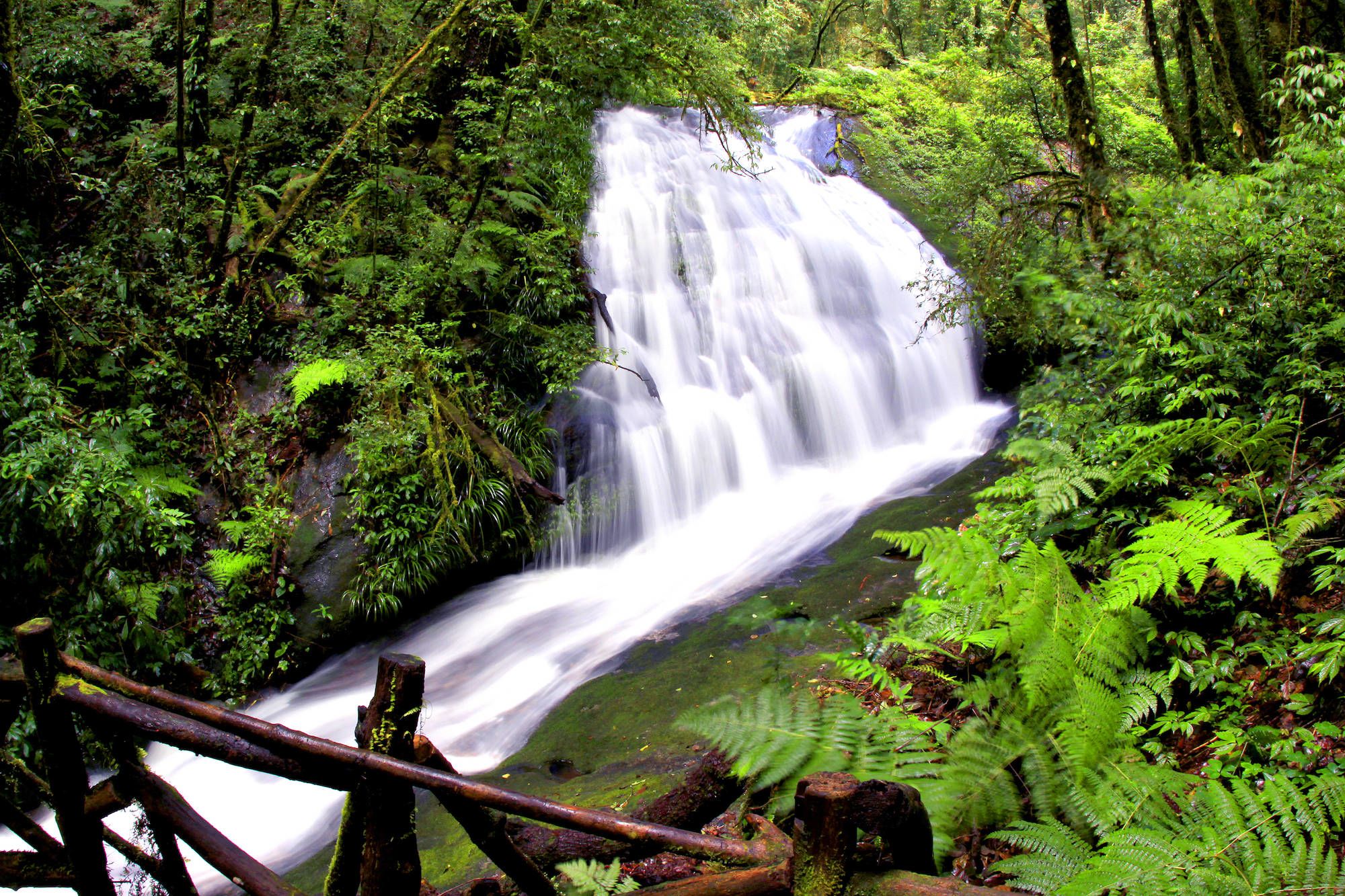Doi Inthanon à Chiang Mai: Doi Inthanon River