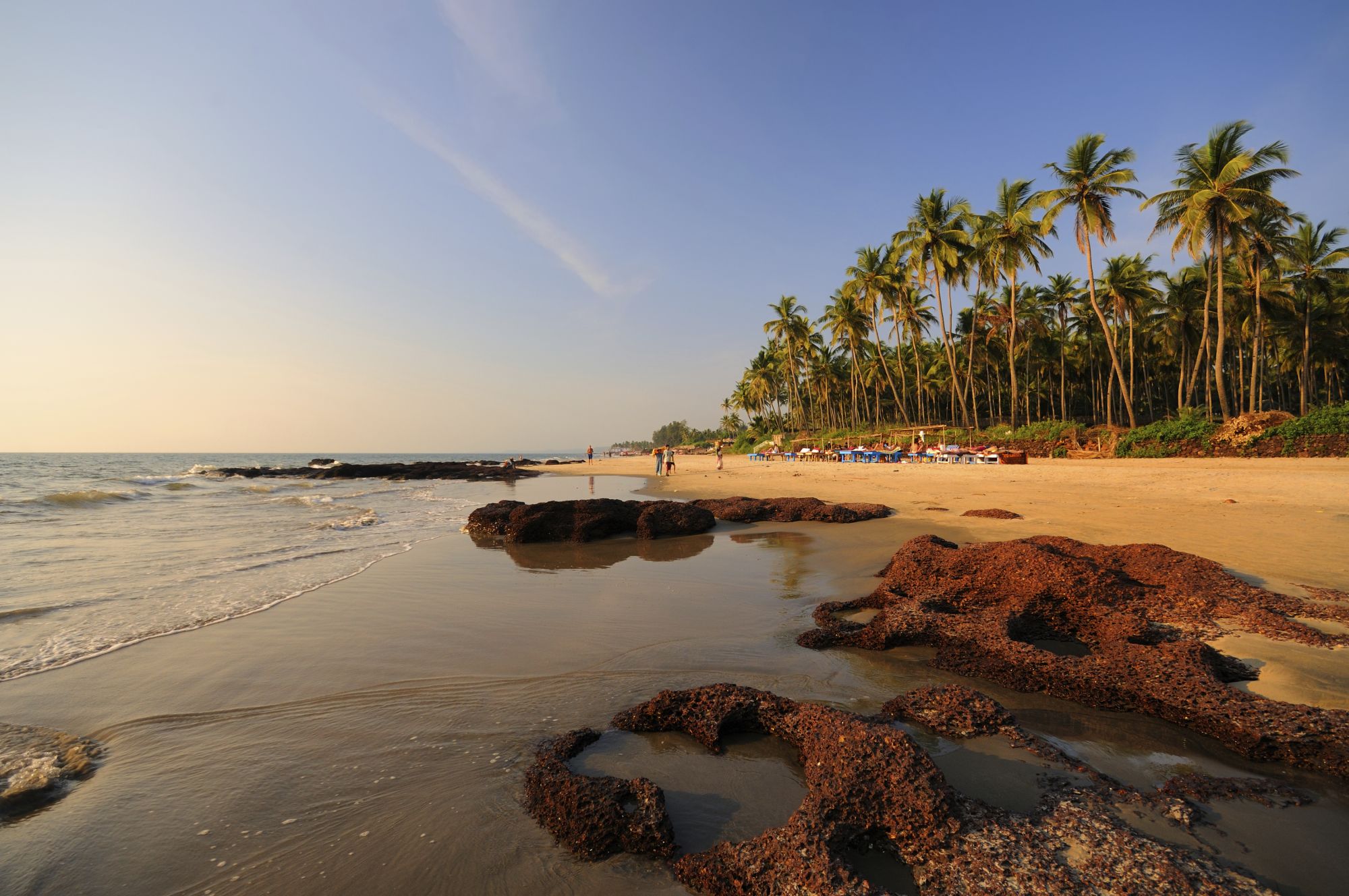 Goa dans toute sa diversité: Morjim Beach in Goa