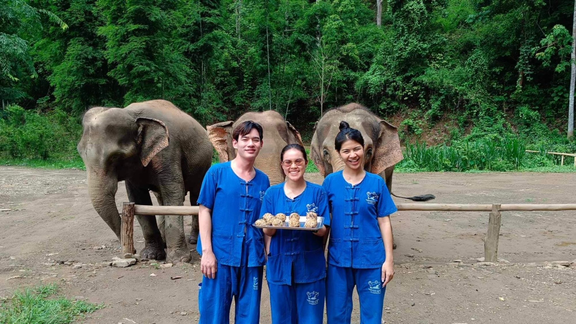 Erlebnisse mit Elefanten in Chiang Mai: Thai Elephant Home