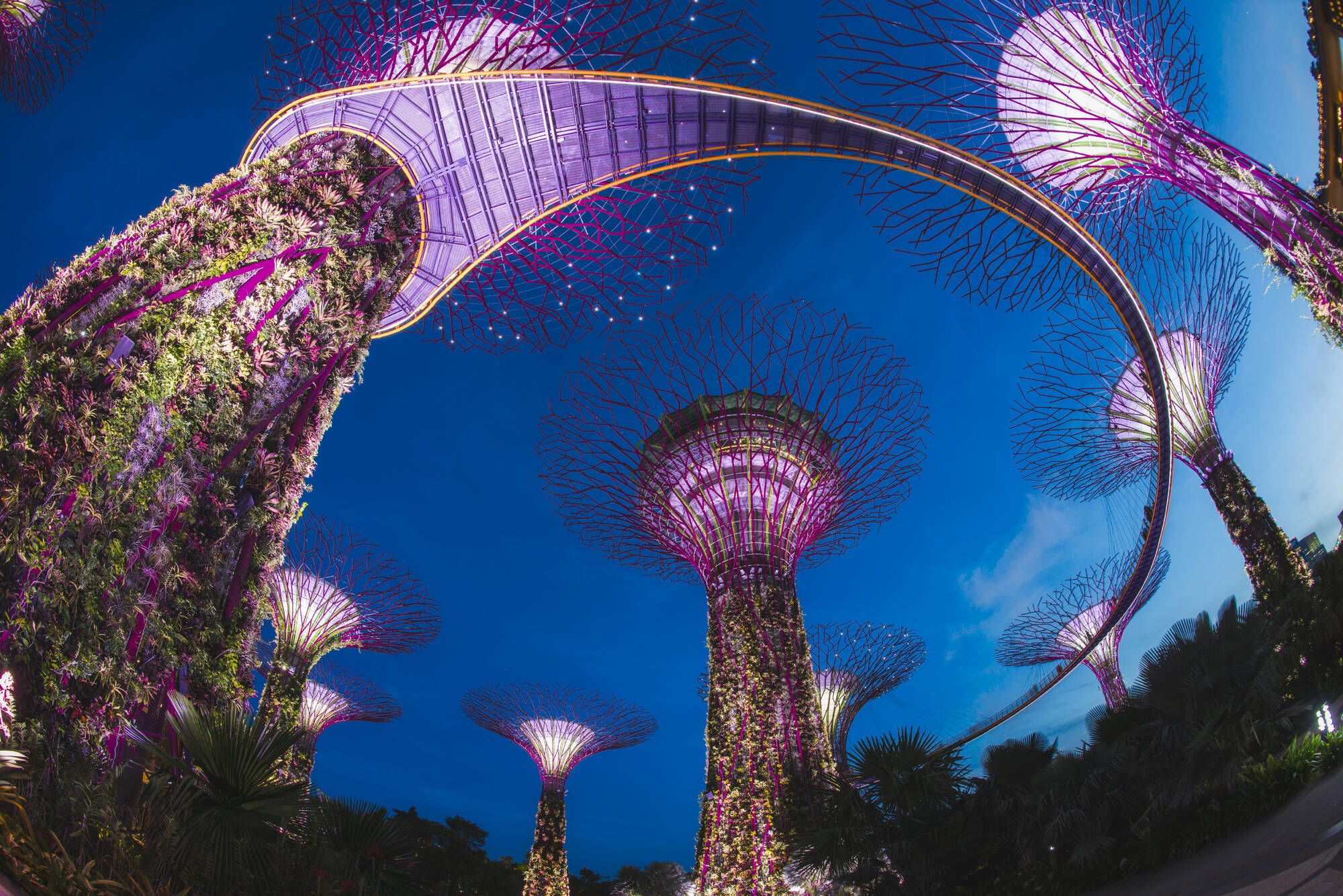 Gardens by the Bay in Singapur: Gardens by the bay