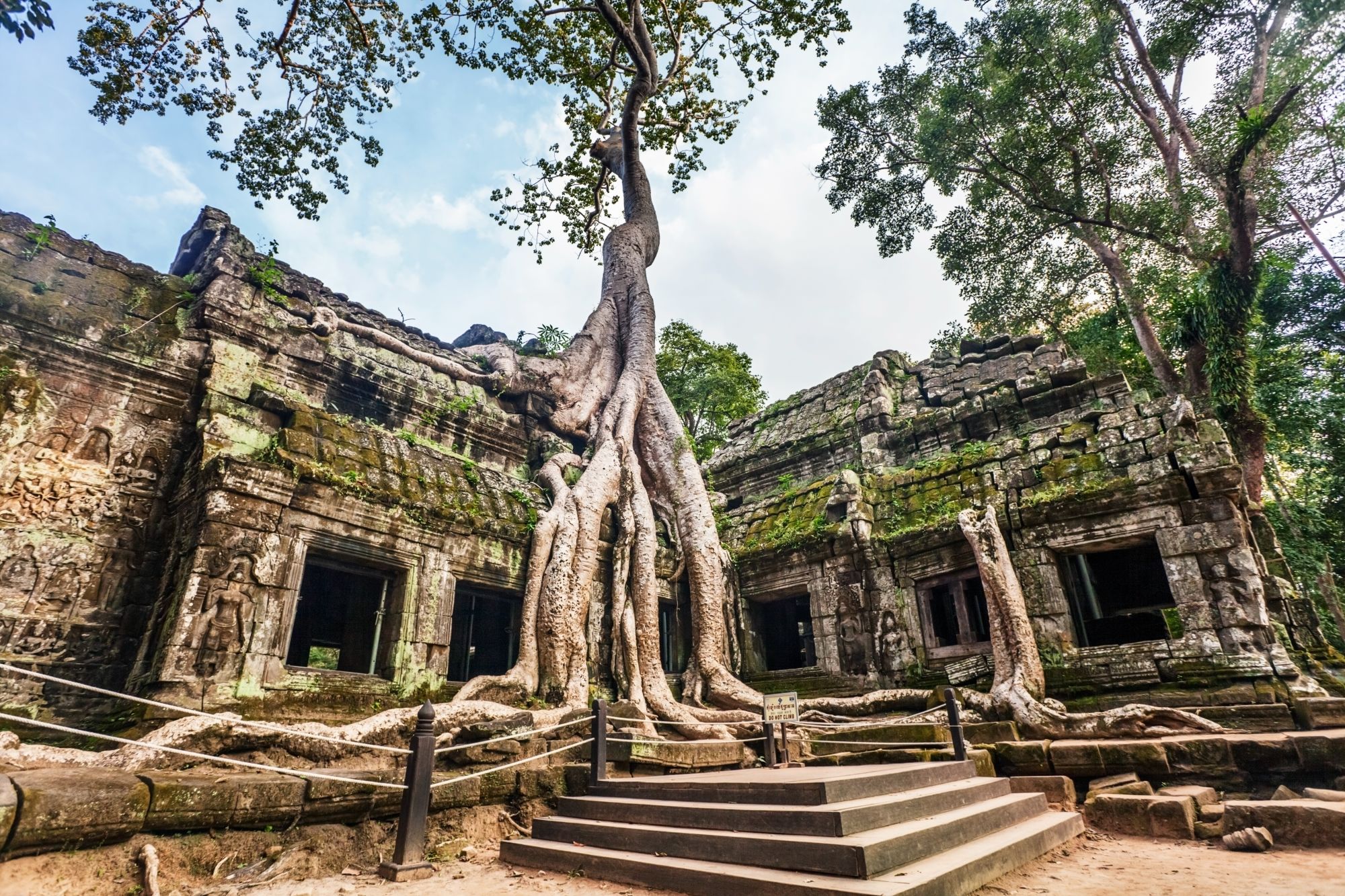 Les hauts lieux du Cambodge de Siem Reap: Siem Reap Ta Phrom