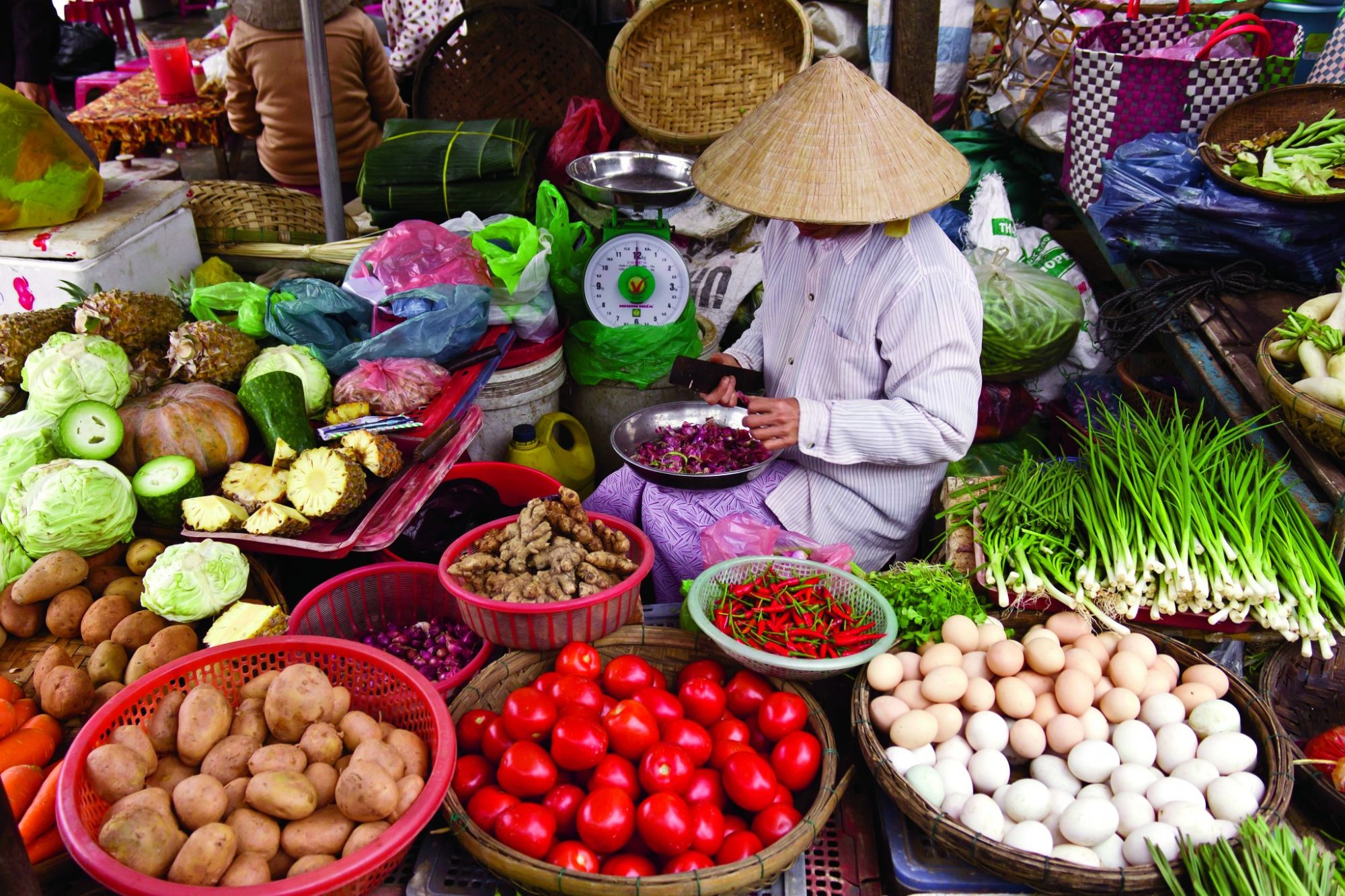 Traditionelles Koch-Erlebnis in Hanoi: Hanoi: Flavour & Savour