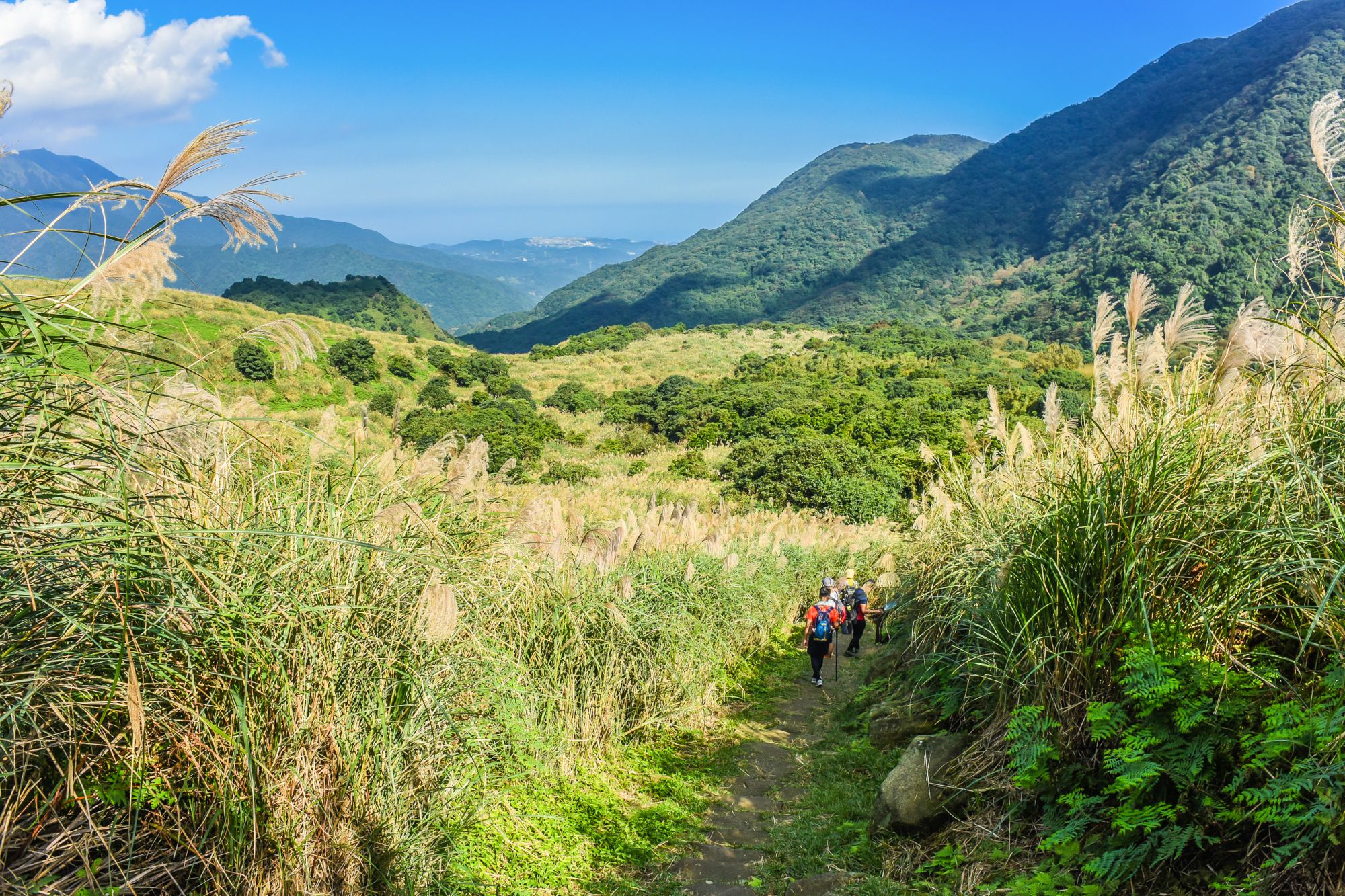 Trésors naturels sur la côte nord à Taipei: Qingtiangang, Yangmingshan NP
