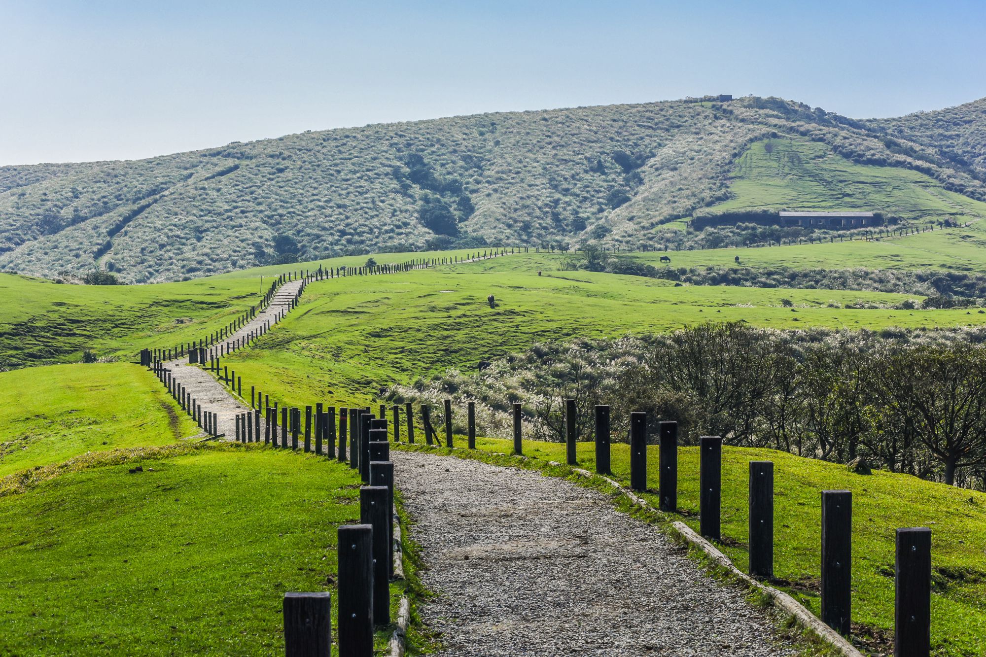 Trésors naturels sur la côte nord à Taipei: Qingtiangang Grassland, Yangmingshan NP