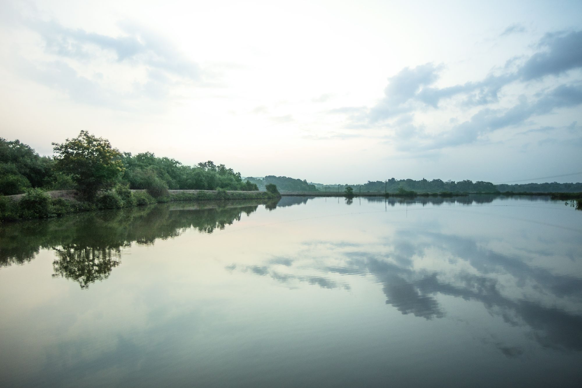 Mercure Goa Devaaya Retreat:  Surrounding