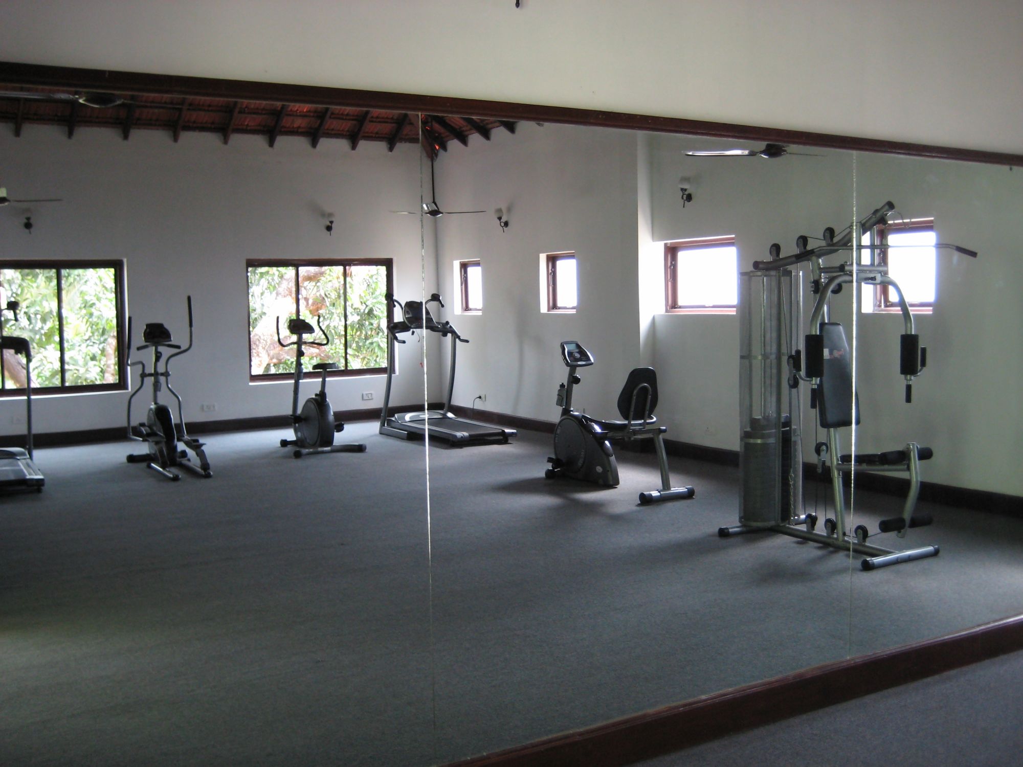 Mercure Goa Devaaya Retreat:  Fitness-Center