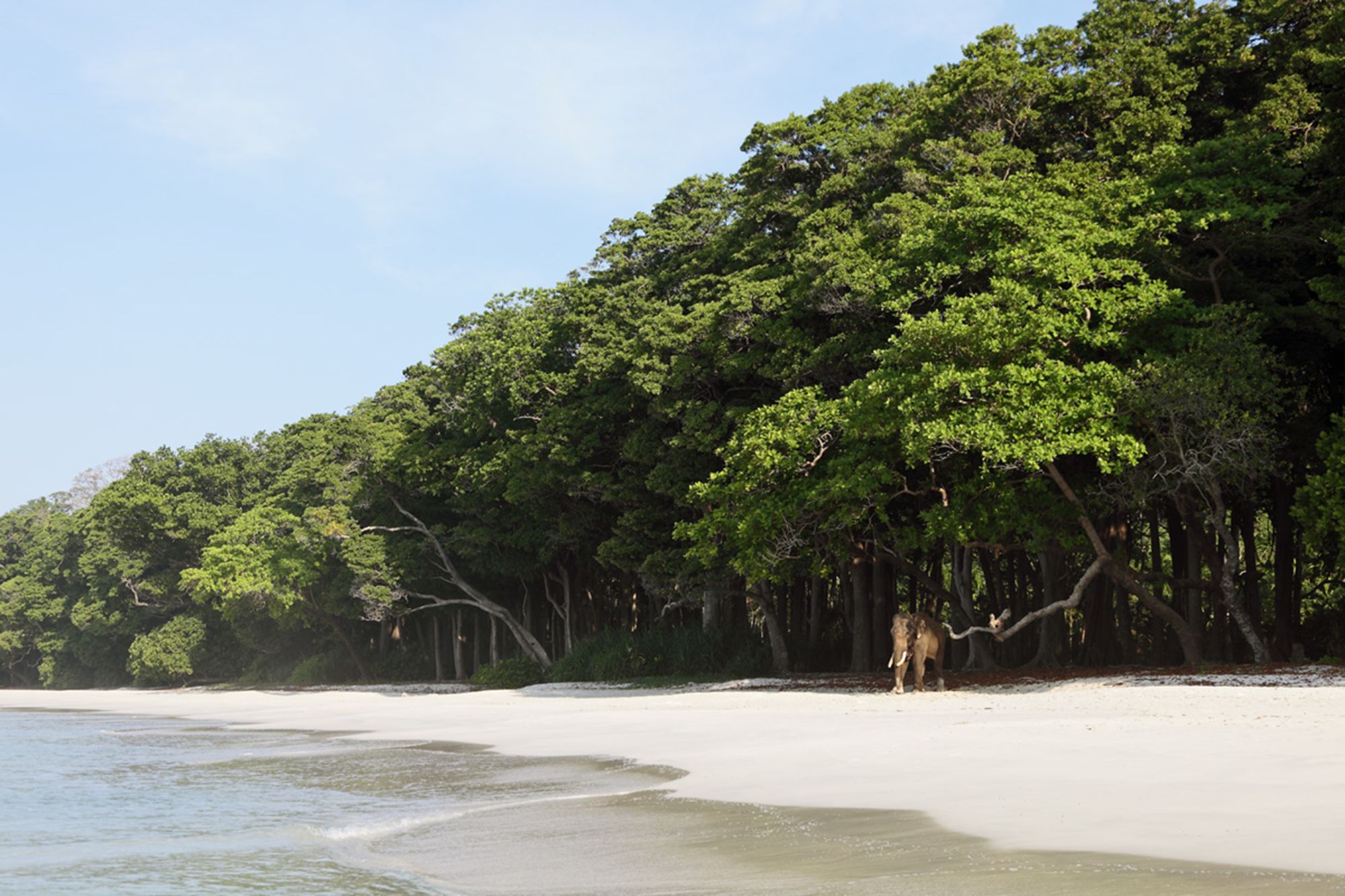 Barefoot at Havelock à Îles Andaman: Rajan on the Best Beach in Asia
