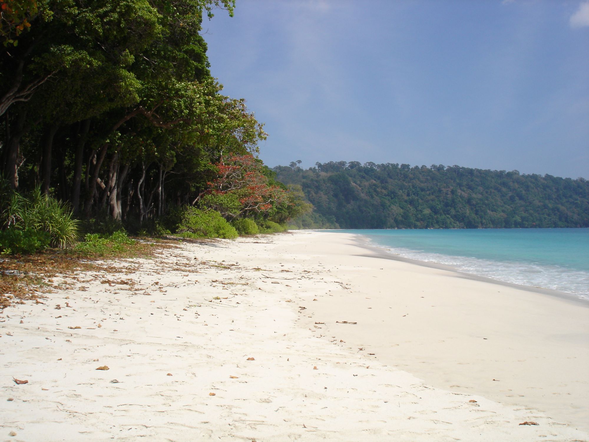 Barefoot at Havelock à Îles Andaman: Barefoot at Havelock, Andaman Islands, India Beach